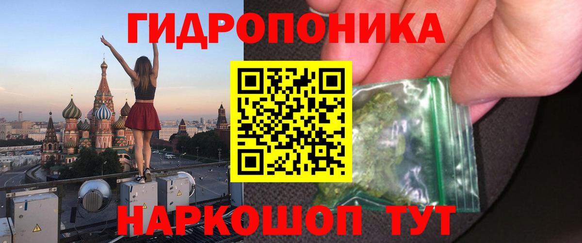 Шишки марихуана план Чехов